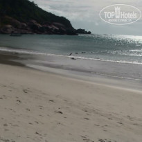 фото из отзыва ID 585256