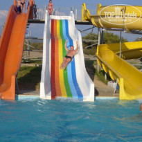 фото из отзыва ID 58516