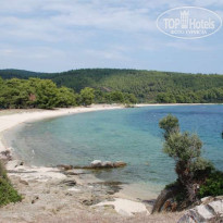 фото из отзыва ID 58596