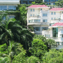 фото из отзыва ID 586999