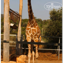 фото из отзыва ID 586022