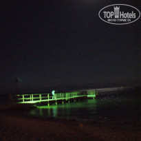 фото из отзыва ID 586031