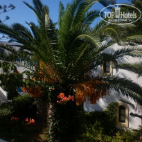 фото из отзыва ID 586119