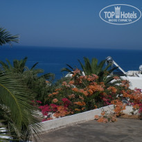 фото из отзыва ID 586119