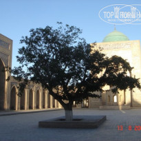 фото из отзыва ID 586546