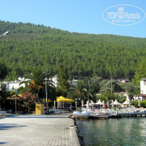 фото из отзыва ID 587123