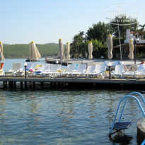 фото из отзыва ID 587123