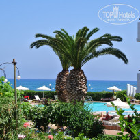 фото из отзыва ID 587243