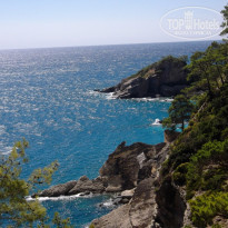 фото из отзыва ID 587312