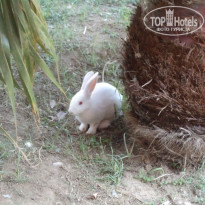 фото из отзыва ID 587411