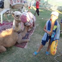 фото из отзыва ID 587411