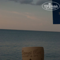 фото из отзыва ID 587497