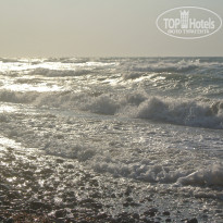 фото из отзыва ID 587564