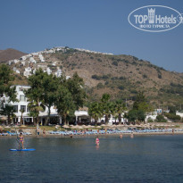 фото из отзыва ID 587955