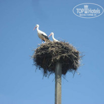 фото из отзыва ID 58782