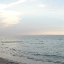 фото из отзыва ID 588691