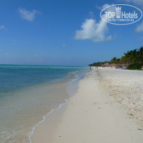 фото из отзыва ID 588884