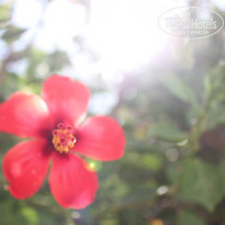 фото из отзыва ID 588891