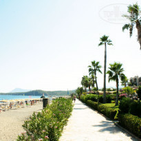 фото из отзыва ID 589205