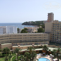 фото из отзыва ID 589301