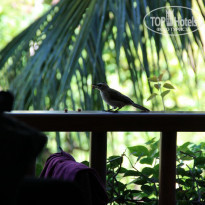 фото из отзыва ID 589654