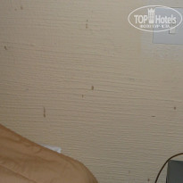 фото из отзыва ID 589118