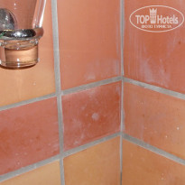 фото из отзыва ID 589118