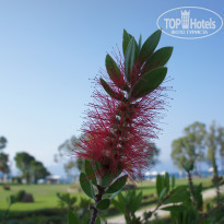 фото из отзыва ID 590207