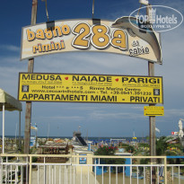 фото из отзыва ID 590404