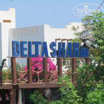 фото из отзыва ID 590450