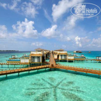 фото из отзыва ID 590509