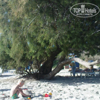 фото из отзыва ID 590665