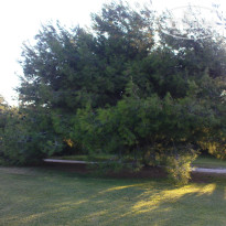 фото из отзыва ID 590665