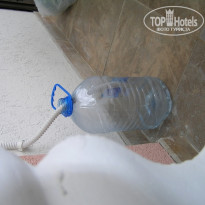 фото из отзыва ID 590688