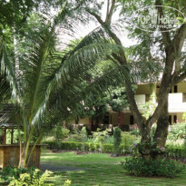 фото из отзыва ID 590890