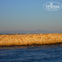 фото из отзыва ID 590953