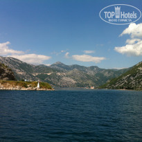 фото из отзыва ID 591158