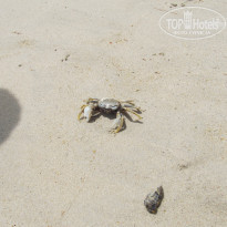 фото из отзыва ID 591374