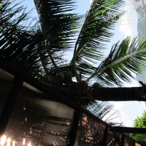 фото из отзыва ID 591374