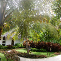 фото из отзыва ID 591430