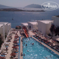 фото из отзыва ID 591784