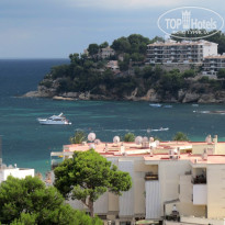 фото из отзыва ID 591881