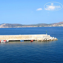 фото из отзыва ID 591881