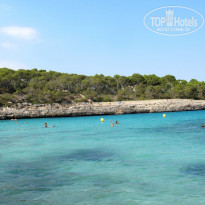 фото из отзыва ID 591881