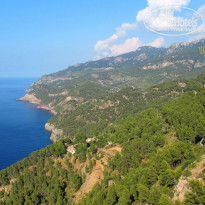 фото из отзыва ID 591881