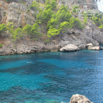 фото из отзыва ID 591881