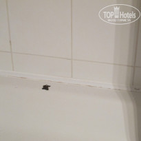 фото из отзыва ID 592509