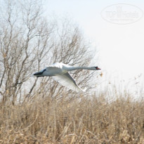 фото из отзыва ID 592601