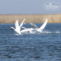 фото из отзыва ID 592601