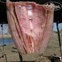 фото из отзыва ID 592601